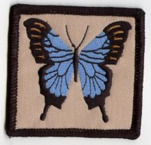 Ulysses Butterfly Patch