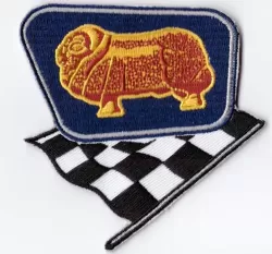 Golden Fleece flag cloth Patch